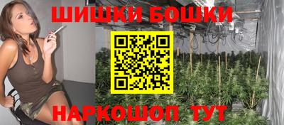 spice Обь
